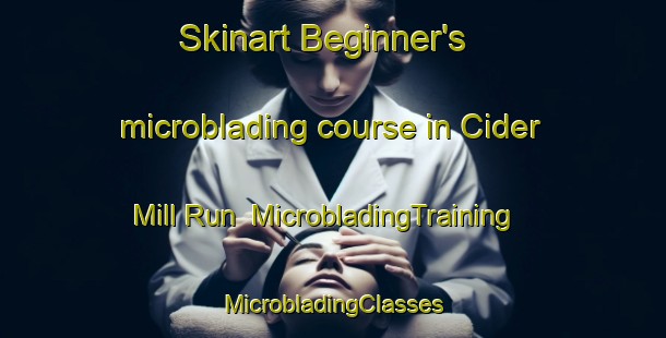 Skinart Beginner's microblading course in Cider Mill Run | #MicrobladingTraining #MicrobladingClasses #SkinartTraining-United States