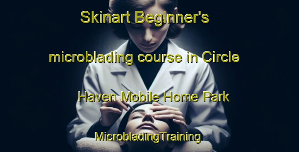 Skinart Beginner's microblading course in Circle Haven Mobile Home Park | #MicrobladingTraining #MicrobladingClasses #SkinartTraining-United States