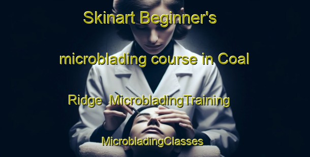Skinart Beginner's microblading course in Coal Ridge | MicrobladingTraining | MicrobladingClasses | SkinartTraining-United States