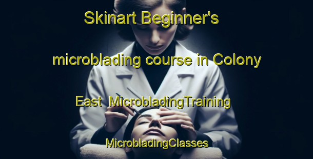 Skinart Beginner's microblading course in Colony East | #MicrobladingTraining #MicrobladingClasses #SkinartTraining-United States