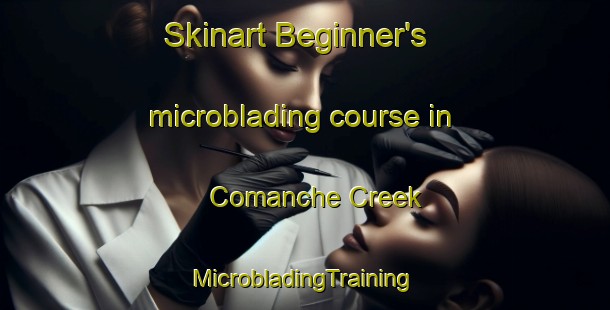 Skinart Beginner's microblading course in Comanche Creek | #MicrobladingTraining #MicrobladingClasses #SkinartTraining-United States