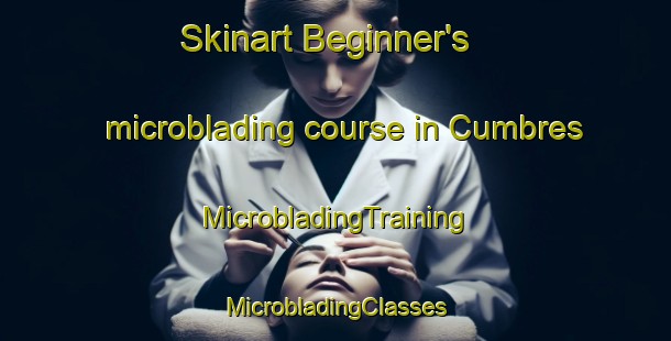 Skinart Beginner's microblading course in Cumbres | #MicrobladingTraining #MicrobladingClasses #SkinartTraining-United States