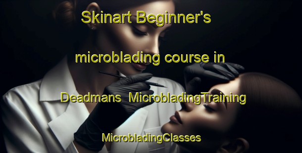 Skinart Beginner's microblading course in Deadmans | #MicrobladingTraining #MicrobladingClasses #SkinartTraining-United States