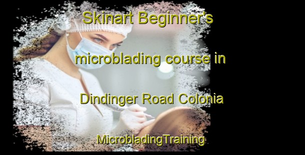 Skinart Beginner's microblading course in Dindinger Road Colonia | #MicrobladingTraining #MicrobladingClasses #SkinartTraining-United States