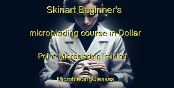 Skinart Beginner's microblading course in Dollar Point | MicrobladingTraining | MicrobladingClasses | SkinartTraining-United States