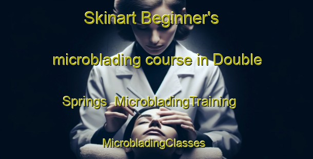 Skinart Beginner's microblading course in Double Springs | MicrobladingTraining | MicrobladingClasses | SkinartTraining-United States