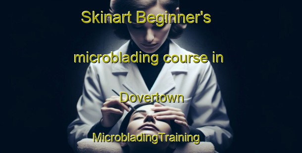 Skinart Beginner's microblading course in Dovertown | MicrobladingTraining | MicrobladingClasses | SkinartTraining-United States