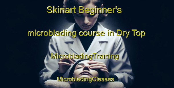 Skinart Beginner's microblading course in Dry Top | MicrobladingTraining | MicrobladingClasses | SkinartTraining-United States
