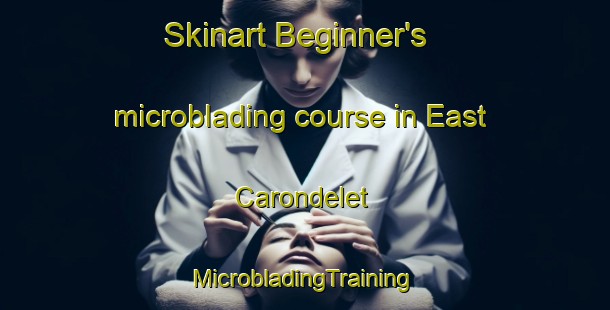 Skinart Beginner's microblading course in East Carondelet | #MicrobladingTraining #MicrobladingClasses #SkinartTraining-United States