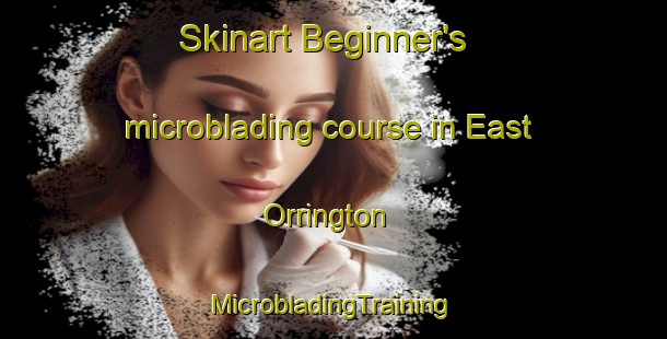 Skinart Beginner's microblading course in East Orrington | #MicrobladingTraining #MicrobladingClasses #SkinartTraining-United States