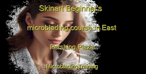 Skinart Beginner's microblading course in East Pershing Plaza | #MicrobladingTraining #MicrobladingClasses #SkinartTraining-United States