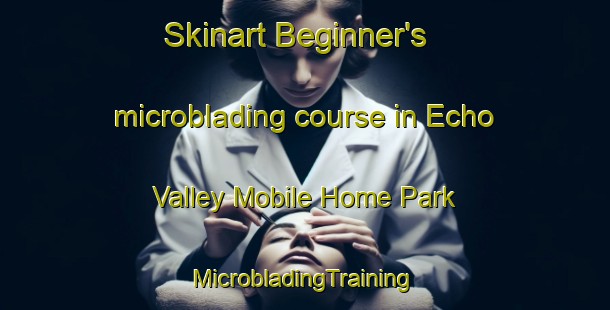 Skinart Beginner's microblading course in Echo Valley Mobile Home Park | #MicrobladingTraining #MicrobladingClasses #SkinartTraining-United States