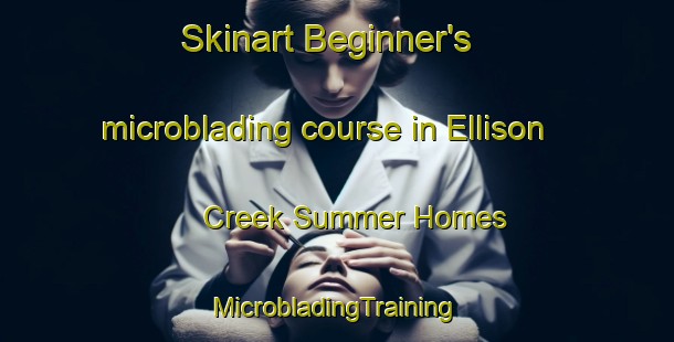 Skinart Beginner's microblading course in Ellison Creek Summer Homes | #MicrobladingTraining #MicrobladingClasses #SkinartTraining-United States