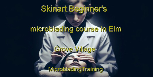 Skinart Beginner's microblading course in Elm Grove Village | #MicrobladingTraining #MicrobladingClasses #SkinartTraining-United States