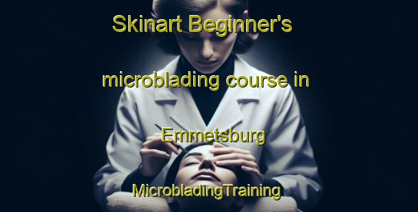 Skinart Beginner's microblading course in Emmetsburg | #MicrobladingTraining #MicrobladingClasses #SkinartTraining-United States