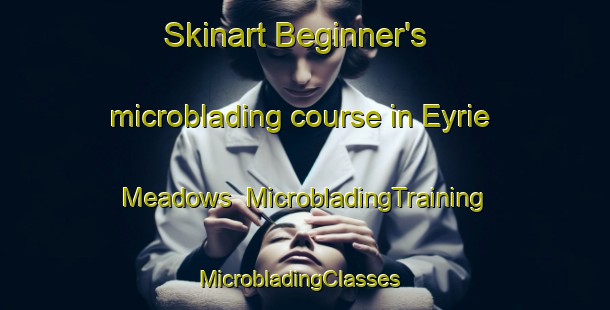 Skinart Beginner's microblading course in Eyrie Meadows | MicrobladingTraining | MicrobladingClasses | SkinartTraining-United States