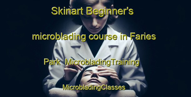 Skinart Beginner's microblading course in Faries Park | MicrobladingTraining | MicrobladingClasses | SkinartTraining-United States