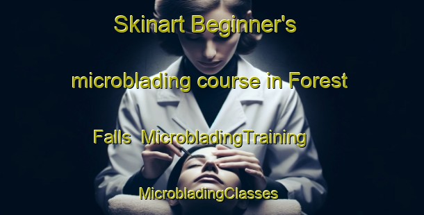 Skinart Beginner's microblading course in Forest Falls | MicrobladingTraining | MicrobladingClasses | SkinartTraining-United States