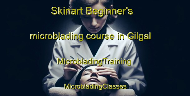 Skinart Beginner's microblading course in Gilgal | #MicrobladingTraining #MicrobladingClasses #SkinartTraining-United States