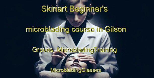Skinart Beginner's microblading course in Gilson Groves | MicrobladingTraining | MicrobladingClasses | SkinartTraining-United States