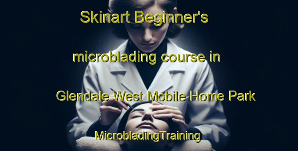 Skinart Beginner's microblading course in Glendale West Mobile Home Park | #MicrobladingTraining #MicrobladingClasses #SkinartTraining-United States