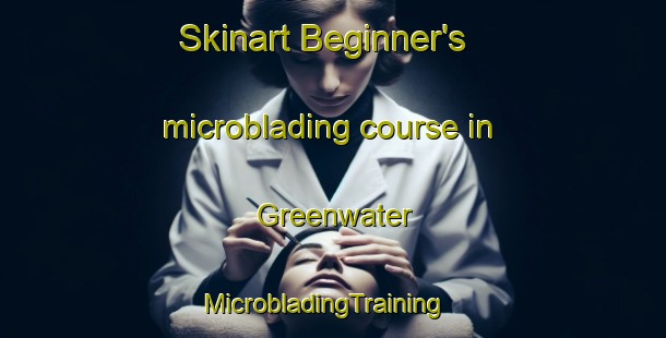 Skinart Beginner's microblading course in Greenwater | MicrobladingTraining | MicrobladingClasses | SkinartTraining-United States