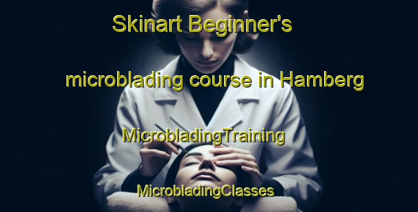 Skinart Beginner's microblading course in Hamberg | MicrobladingTraining | MicrobladingClasses | SkinartTraining-United States