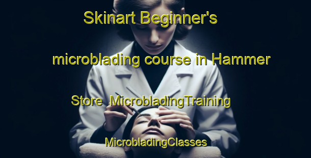 Skinart Beginner's microblading course in Hammer Store | #MicrobladingTraining #MicrobladingClasses #SkinartTraining-United States