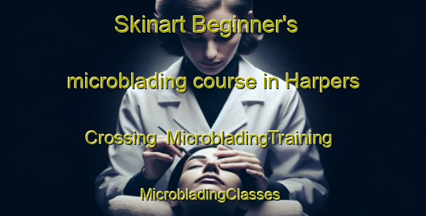 Skinart Beginner's microblading course in Harpers Crossing | MicrobladingTraining | MicrobladingClasses | SkinartTraining-United States
