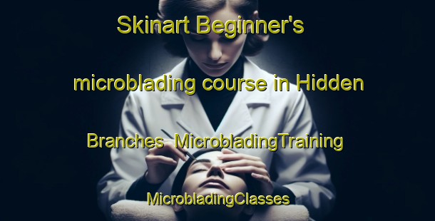 Skinart Beginner's microblading course in Hidden Branches | #MicrobladingTraining #MicrobladingClasses #SkinartTraining-United States