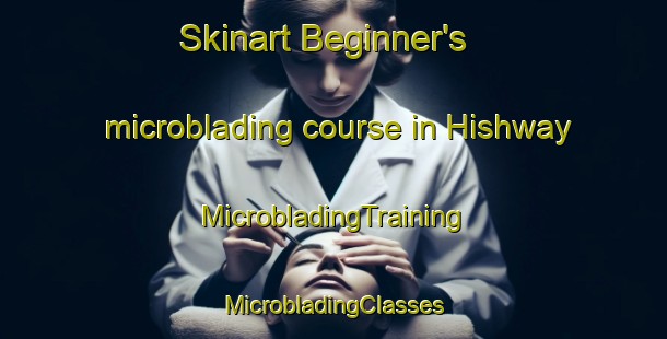 Skinart Beginner's microblading course in Hishway | #MicrobladingTraining #MicrobladingClasses #SkinartTraining-United States