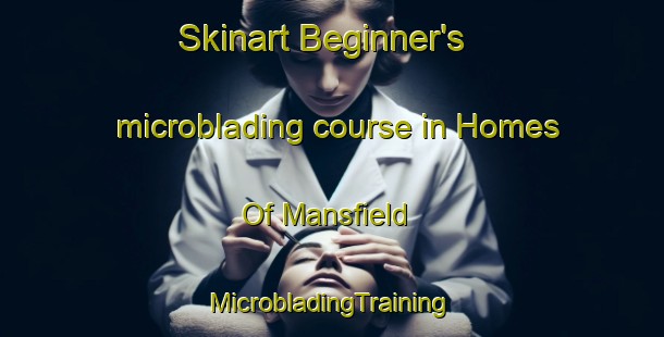 Skinart Beginner's microblading course in Homes Of Mansfield | #MicrobladingTraining #MicrobladingClasses #SkinartTraining-United States