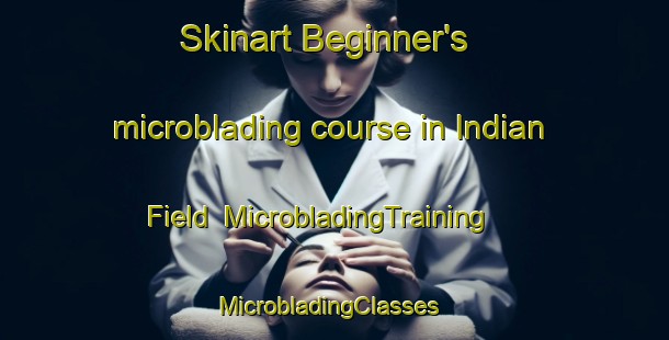 Skinart Beginner's microblading course in Indian Field | MicrobladingTraining | MicrobladingClasses | SkinartTraining-United States