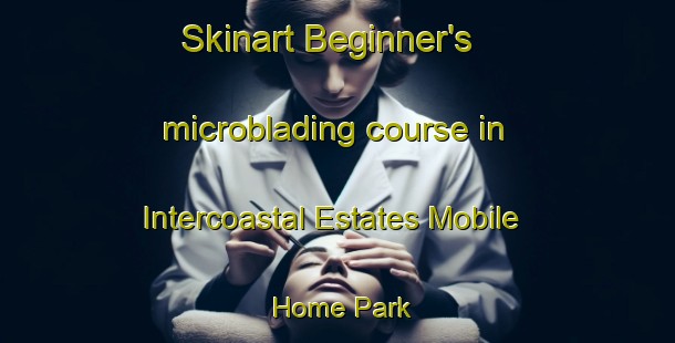 Skinart Beginner's microblading course in Intercoastal Estates Mobile Home Park | #MicrobladingTraining #MicrobladingClasses #SkinartTraining-United States