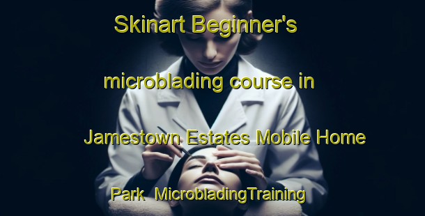 Skinart Beginner's microblading course in Jamestown Estates Mobile Home Park | #MicrobladingTraining #MicrobladingClasses #SkinartTraining-United States