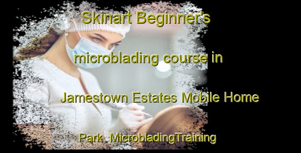 Skinart Beginner's microblading course in Jamestown Estates Mobile Home Park | #MicrobladingTraining #MicrobladingClasses #SkinartTraining-United States