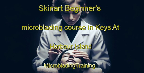 Skinart Beginner's microblading course in Keys At Harbour Island | MicrobladingTraining | MicrobladingClasses | SkinartTraining-United States