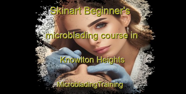 Skinart Beginner's microblading course in Knowlton Heights | MicrobladingTraining | MicrobladingClasses | SkinartTraining-United States