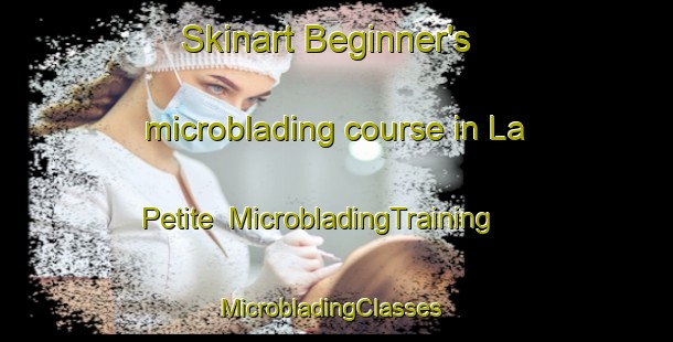 Skinart Beginner's microblading course in La Petite | MicrobladingTraining | MicrobladingClasses | SkinartTraining-United States