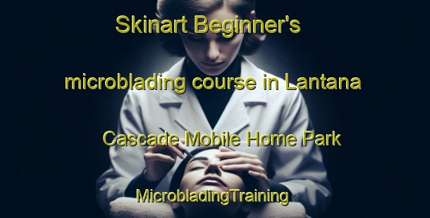 Skinart Beginner's microblading course in Lantana Cascade Mobile Home Park | #MicrobladingTraining #MicrobladingClasses #SkinartTraining-United States