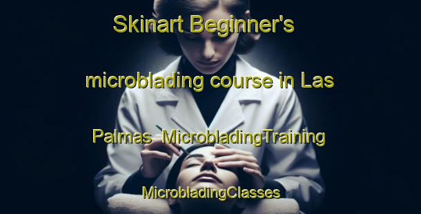 Skinart Beginner's microblading course in Las Palmas | #MicrobladingTraining #MicrobladingClasses #SkinartTraining-United States