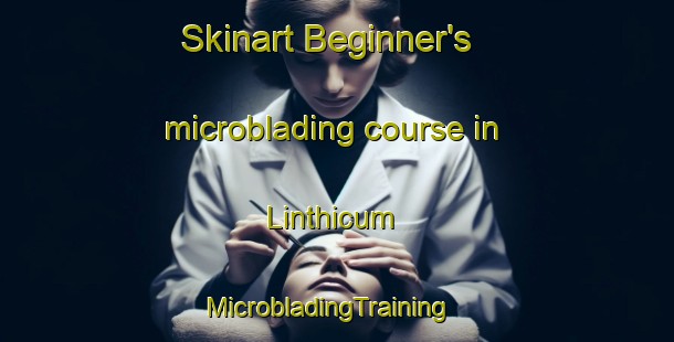 Skinart Beginner's microblading course in Linthicum | MicrobladingTraining | MicrobladingClasses | SkinartTraining-United States