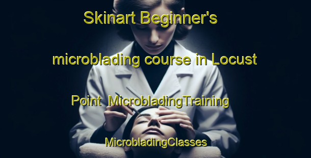 Skinart Beginner's microblading course in Locust Point | #MicrobladingTraining #MicrobladingClasses #SkinartTraining-United States