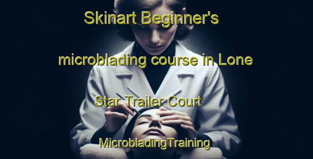 Skinart Beginner's microblading course in Lone Star Trailer Court | #MicrobladingTraining #MicrobladingClasses #SkinartTraining-United States