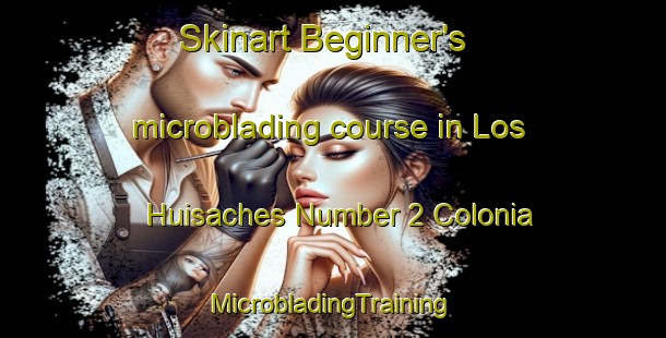 Skinart Beginner's microblading course in Los Huisaches Number 2 Colonia | #MicrobladingTraining #MicrobladingClasses #SkinartTraining-United States