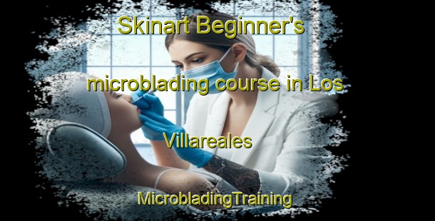 Skinart Beginner's microblading course in Los Villareales | #MicrobladingTraining #MicrobladingClasses #SkinartTraining-United States