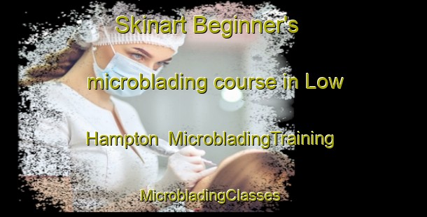 Skinart Beginner's microblading course in Low Hampton | MicrobladingTraining | MicrobladingClasses | SkinartTraining-United States