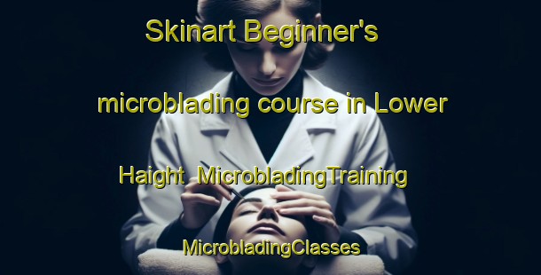 Skinart Beginner's microblading course in Lower Haight | #MicrobladingTraining #MicrobladingClasses #SkinartTraining-United States