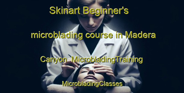 Skinart Beginner's microblading course in Madera Canyon | #MicrobladingTraining #MicrobladingClasses #SkinartTraining-United States