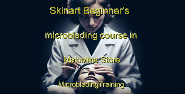 Skinart Beginner's microblading course in Malcolms Store | #MicrobladingTraining #MicrobladingClasses #SkinartTraining-United States